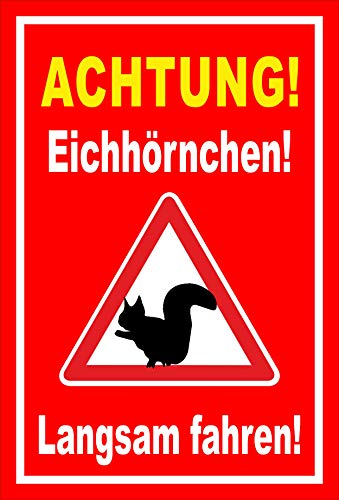Melis-Folienwerkstatt Schild Eichhörnchen langsam Fahren - 60x40cm - Bohrlöcher - 3mm Aluverbund – 20 VAR S00359-160-D