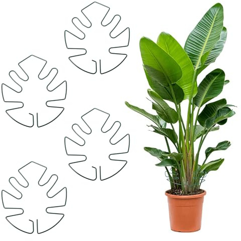 Tyqour 4 Stück Pflanzenstütze Stängelstütze Monstera Halterung, Metall Pflanzenstielstütze Monstera Rankhilfe, Blatt Pflanzenhalter Pflanzen Halter Pflanzenstützepflanzenstütze für Zimmerpflanzen