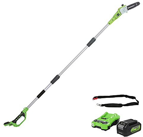Greenworks Tools Motosierra telescópica inalámbrica de 20cm (Podadora) + Batería G24B4 2ª generación, recargable de Li-Ion 24 V 4.0 Ah + Cargador de baterías G24C