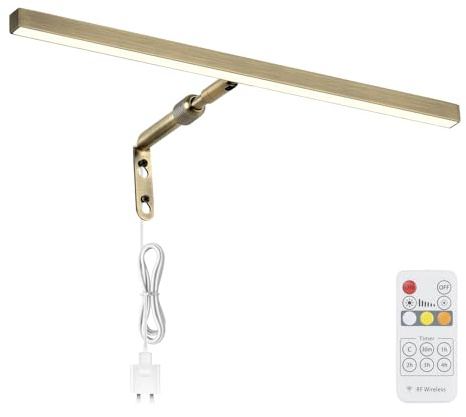 Pasoar LED Picture Lights for Paintings Plug in, 16 Inch 4W Adjustable Art Light Gallery Wall Light for Display Art Work, Antique Brass Finish, CRI90+, 3000K Warm White