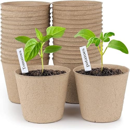 LYXFLHAN Pulp Nursery Pot de germination de graines biodégradable Outil de plantation de jardin Taille L 9,9 cm 100 pièces + 100 étiquettes pour plantes
