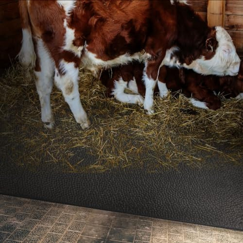 etm Stallmatte aus Gummi 4mm - für Tierhaltung - Pferdematte Paddockmatte- gelenkschonend, wetterfest & einfach zu reinigen - rutschfeste Gummimatte Schutzmatte Bodenmatte Noppenmatte (200x100cm)