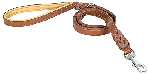 Riparo geflochtene Leder Hundeleine mit Zwei Griffen, gepolsterter Verkehrsgriff für zusätzliche Kontrolle, 1,8 m lang Hundetraining für mittlere und große Hunde (Braun, L: 1,9 cm x 1,8 m)