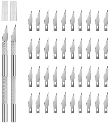 YPYMOD 2 Stück Precision Carving Craft Messer, Skulptur, Schnitzmesser für Bastelmesser mit 40 Ersatzklingen (Silber)