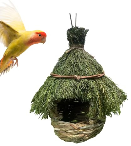 Birdhouse - Casa de de gorrión de Patio Trasero | Casas para pájaros de Hierba para Exteriores, jardinería de de pájaros, casa de gorrión para Pinza, nidos de Canarios, Ramas de pájaros