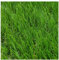 Rollo de Césped Artificial de 40 mm (1_X_3_Metros)