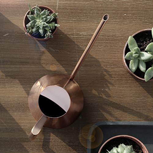 Aramox Succulente Becco Lungo Annaffiatoio, Annaffiatoio Rame Irrigazione per Piante da Interno Annaffiatoio Lungo Becco Stretto Bonsai da Interno Fiore Color Bronzo Giardinaggio (Medio