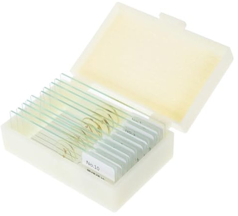 Alipis 10pcs Microscope Slides for Boys and Girls Insect Specimens Prepared Slides Microbiology Kit