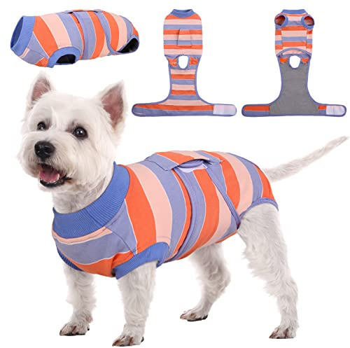 Kuoser Body Hund, Hundebody Nach Op Rüde & Hündin, Orange & Blau XS | Hunde-Operationsanzug, Bauchwundbandage für Hündinnen, Ersatz für E-Halsband, Hundebody verhindert Lecken von Einteilern