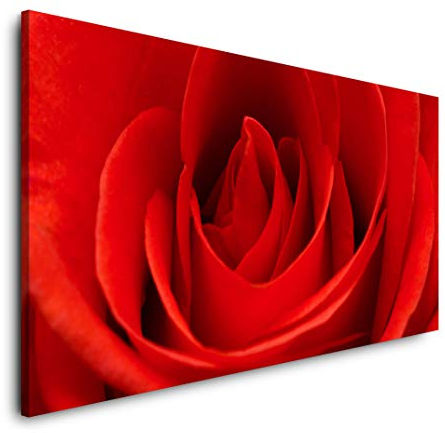 rote Rose 120x 60cm Panorama Leinwand Bild XXL Format Wandbilder Wohnzimmer Wohnung Deko Kunstdrucke