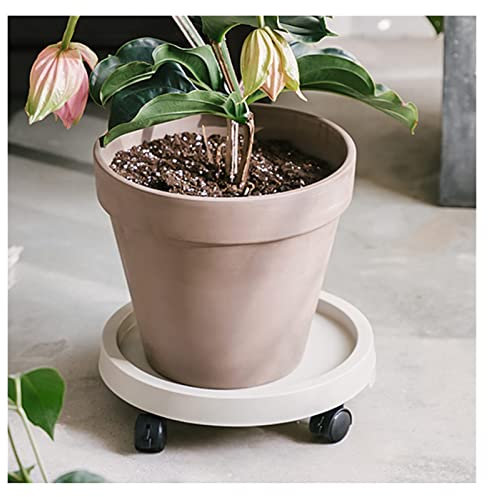 WLICWEI Topfpflanzenständer, 11 13 15 17 Zoll Rollpflanzenständer, Blumentopf-Mover-Trolley auf Rollen, Rollen Dolly Trolley-Tablett-Palette Indoor Outdoor Home Garden (Color : Beige, Size : 39,8cm/