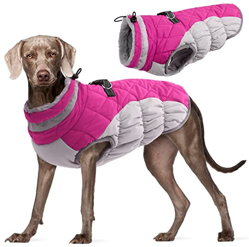 Kuoser Hundejacke Hundemantel für Große Hunde Winterweste Wasserdicht, XL | Wasserdichter Wintermantel Hund, Warme Hunde Winterjacke mit Reißverschluss, Reflektoren, D-Ring und verstellbarem Kordelzug