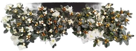 Azaleas Flores Blancas | Set 4 Unidades |DECOALIVE |Plantas Vivas y Naturales