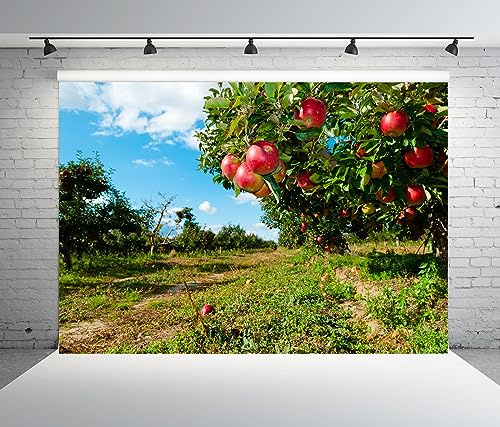 BELECO 1.8x1.2m Sfondo Fotografico Vivaio Di Mele Verdi Meli Mele Rosse Raccolta Autunno Fattoria Decorazione Festa Del Ringraziamento Foto Studio Shooting Accessori