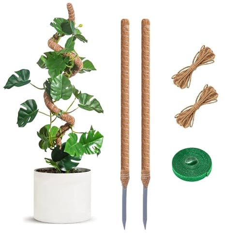 Tuteur Monstera 60 cm Lot de 2, Tuteur Plante en Fibre de Coco Naturelle, Support Solide pour Plantes Grimpantes d’Intérieur, Tuteur Coco Flexible pour Monstera, Pothos et Philodendron