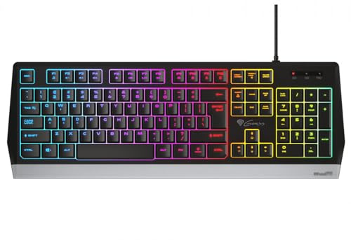 Genesis RHOD 300 RGB - Teclado Gaming Español con Retroiluminación RGB, USB, AntiGosting, Resistente a liquidos, Negro
