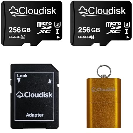 Cloudisk Pack of 2 Micro SD Card 256GB Flash Memory Card Micro SDXC C10, A2, U3, UHS-I (256GB)