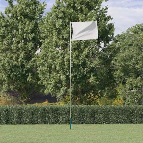 LLEZKBR Home & Garden,Decor,Flags & Windsocks,Telescopic Flagpole Silver 5.55 m Aluminium