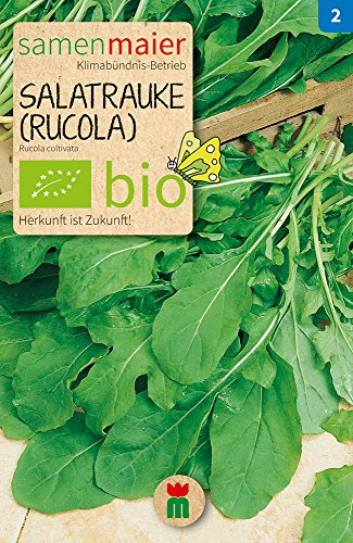 BIO Salatrauke (Rucola) Samen - Einjährig, ganzjährig aussaatbar, Ernte von April bis Oktober, 2 g - Samen Maier