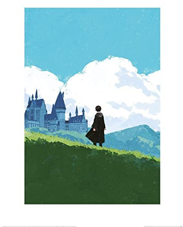 Harry Potter - bedruckt (40 cm x 30 cm) (Blau/Grün)