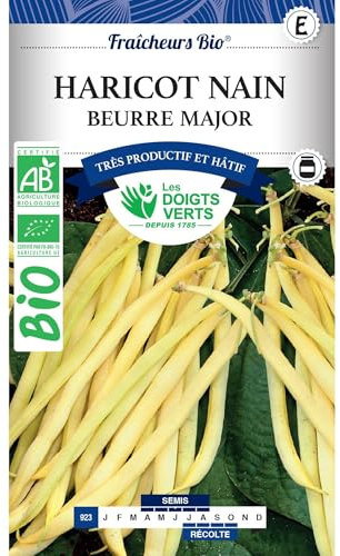 Graines haricot beurre major BIO Les Doigts Verts 30g