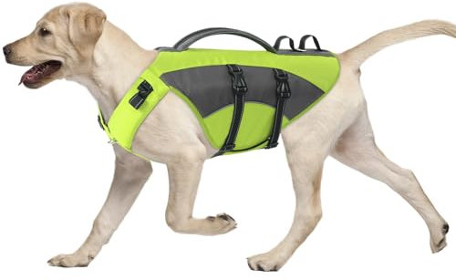 CITÉTOILE Hunde Schwimmweste mit Griff und Reflektierend, Einstellbare Rettungsweste für Kleine Mittel Große Hunde, Langlebigem für Wassersport Schwimmen und Bootfahren, Grün, XL
