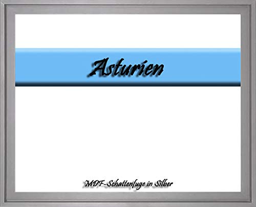 MDF-Leerrahmen ASTURIEN speziell für Leinwandbilder BZW. Keilrahmenbilder im Format 34 x 114 cm. Schattenfugenrahmen in der Farbe: Silber. 10 Farben zur Auswahl