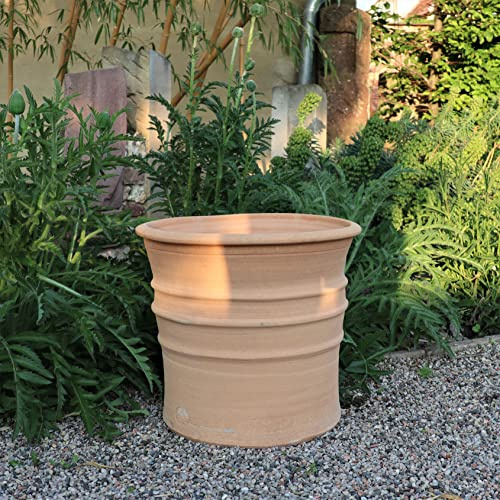 Palatina Keramik - Macetero de terracota resistente a las heladas (aster, 40 cm)