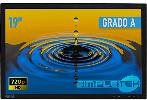 SIMPLETEK - Monitor da 19” TN LED 1440X900px HD 16:10 | Montaggio a parete da 100x100 mm | DVI VGA | Senza base (Ricondizionato)