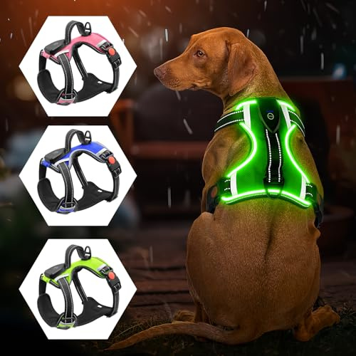 Leuchtendes Hundegeschirr – kein Ziehen, LED-Hundegeschirr, wiederaufladbar, beleuchtetes Hundegeschirr für kleine, mittelgroße und große Hunde (Grün, L)