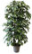 MY E GARDEN - FIORI E PIANTE ARTIFICIALI Pianta Artificiale per Interno o Esterno, Pianta Ficus Benjamin Artificiale Decorativa, Pianta Finta Soggiorno Camera Cucina Salotto Ufficio