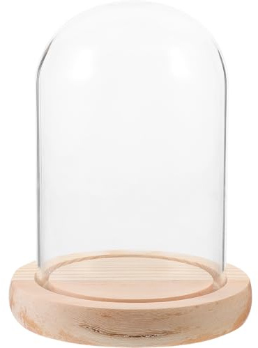 GRIRIW Miniatur-Glocke aus Glas für Sammlerstücke, Glockenkuppel für Pflanzen, Blumenhandwerk