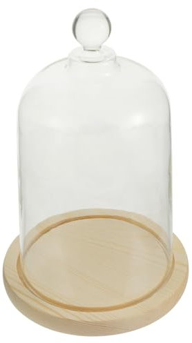 Ciieeo 2sets Preserved Flower Bell Jar Glass Cover Cake Display Food Cover Home Decor Bell Jar