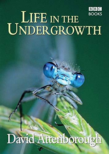 Life in the Undergrowth: (E)