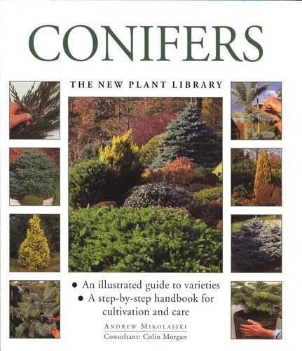 Conifers (The new plant library)