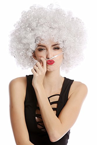 WIG ME UP- Peluca Afro Gris Funk Disco años 70 años 80 Foxy Brown PW0011-P309