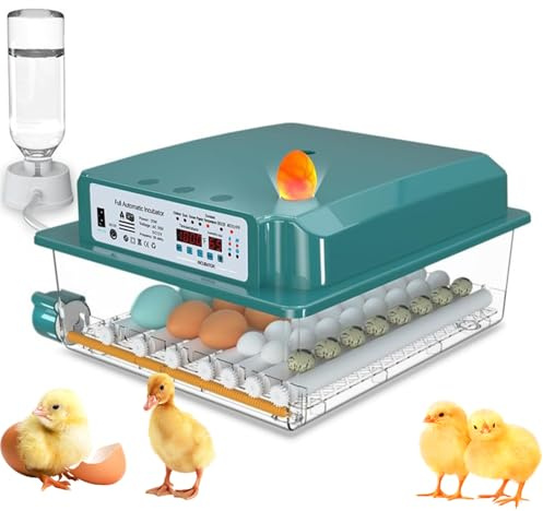 Automatische Eierinkubator, Inkubator Automatischer 10-36 Eier, Inkubator mit automatischer Eierwende und automatischer Befeuchtung, Inkubator für Hühnereier, Wachteleier, Enteneier (24-36 Eier)