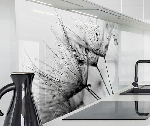 timalo Spritzschutz Wand für Herd, Küche Küchenrückwand Glasoptik | Acryl Glas 2mm | Glasrückwand Acrylglas Wandpaneele Rückwandschutz Platte | 80x60cm Löwenzahn schwarz Weiss