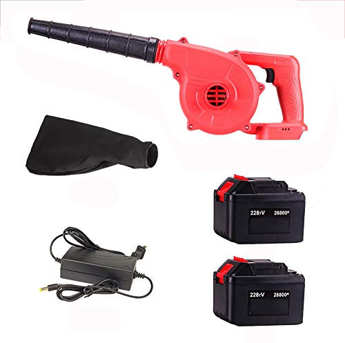 Asciugacapelli Ricaricabile Al Litio Ad Alta Potenza, Soffiatore E Trinciafoglie Elettrico 2 In 1 Per Casa Industriale A Velocità Variabile Con Kit Aspirafoglie, Computer Per Barbecue Wireless Per Pi