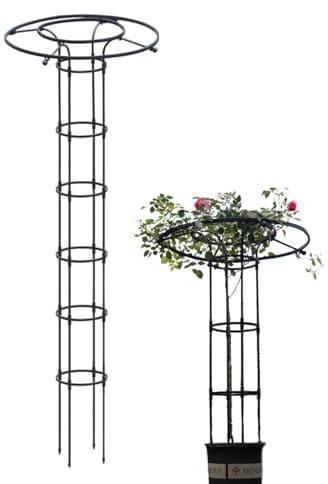 Celosía para Plantas Trepadoras, Soporte Vertical para Plantas de Interior, Torre de Jardinería Metálica en Forma de Paraguais para Flores, Plantas de Interior y Enredaderas
