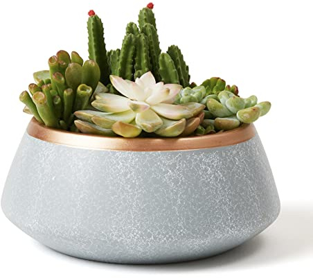LA JOLIE MUSE Large Succulent Planter Pots - Ceramic Indoor Outdoor Garden Pot with Drainage for Plant Flower, 8 Inch, Gray