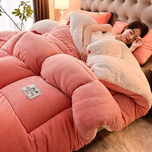 TUCVZVO Couverture Polaire Epaisse Hive, Cachemire Réversible Couette,Double Super Épaisseur, Couette 2 Personne Laine,Couverture Polaire Double Face, Couette d'hiver,E,220X240cm(5KG)