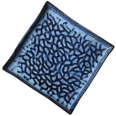 BEBEMOKO Serving Plate Ceramic Embossed Sushi Dish Pasta Fruit Tray Versatile for Snacks Appetizers