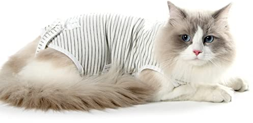 Dotoner Cat Professional Recovery Anzug, chirurgische Erholung Shirt für Bauchwunden Bandagen Kegel Alternative für Katzen nach Operationen medizinischer Anzug weiche Haustierkleidung Indoor(Grey,S)