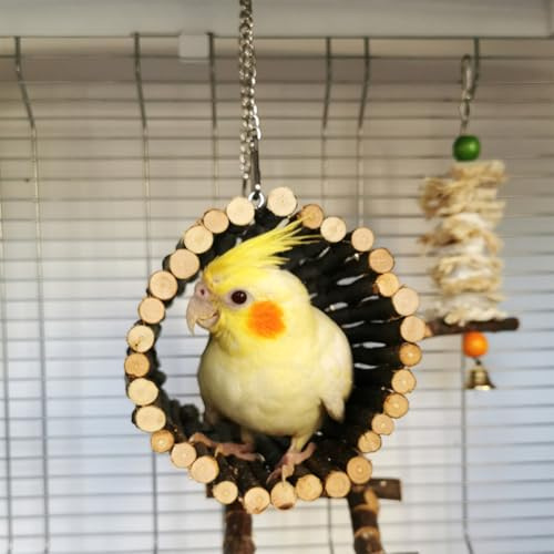 ZYYRSS Balançoire à oiseaux en bois de pommier naturel à suspendre, accessoire de cage à oiseaux, convient pour les petits oiseaux, perruches, calopsittes, hamster, rat