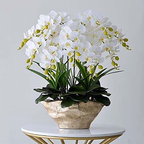 Fiore artificiale in vaso Orchidea artificiale con vaso Grande finta fioritura Phalaenopsis Piante finte bianche