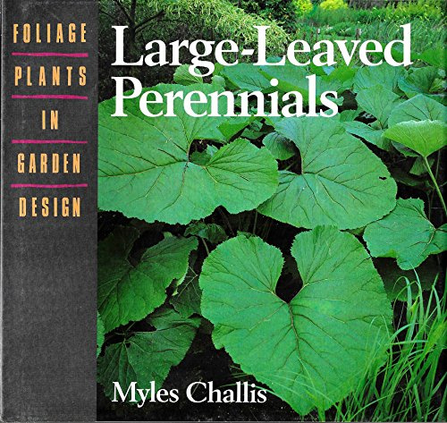 Large-Leaved Perennials (Foliage Plants in Garden Design)