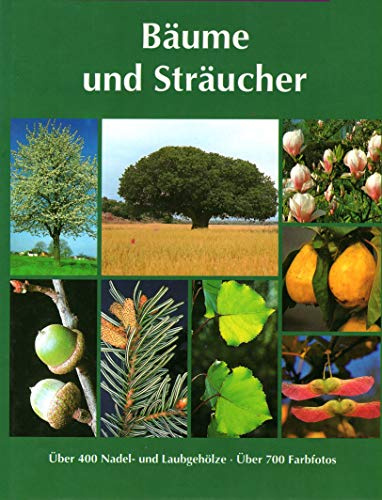 Steinbachs großer Naturführer Bäume und Sträucher. Über 400 Nadel- und Laubgehölze