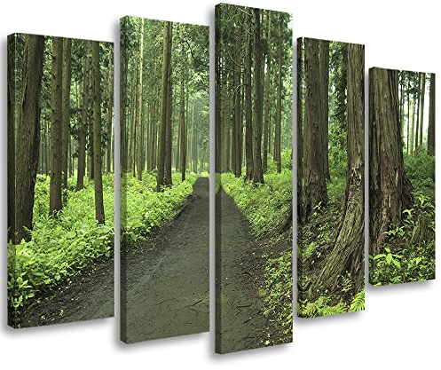 Feeby Leinwandbild 5-teilig 100x70 cm Wald Natur Bäume Farn Bild Wanddeko Wand Bild Kunstdruck Deko Wohnzimmer Blätter Weg Pflanzen Grün