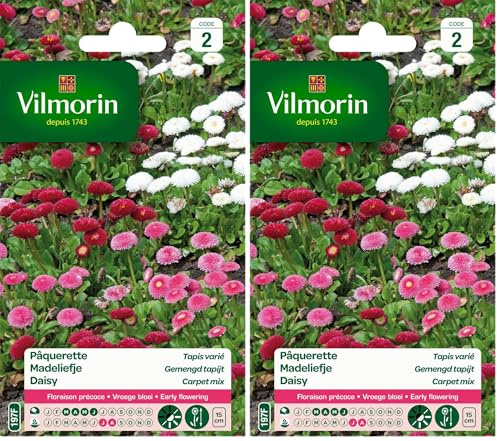 Vilmorin 5448242 Pâquerette, Multicolore, 90 x 2 x 160 cm